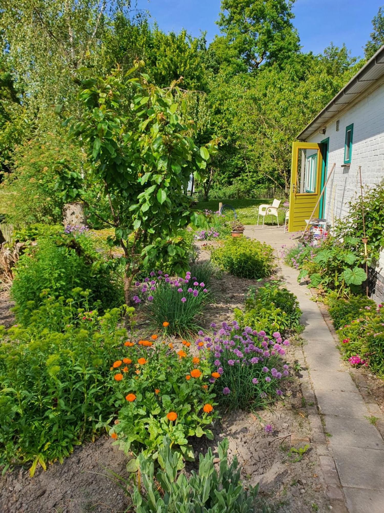 Huisje Fiederels Villa Bant Exteriör bild